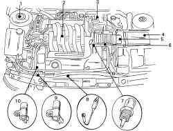 Расположение в моторном отсеке некоторых узлов двигателя V6
